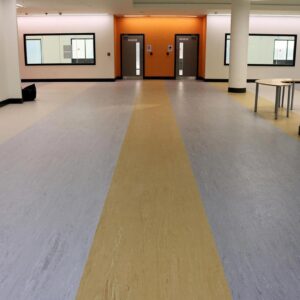 Piso sanitarios homogéneos