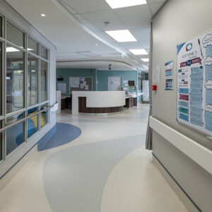 elite pur full gummex